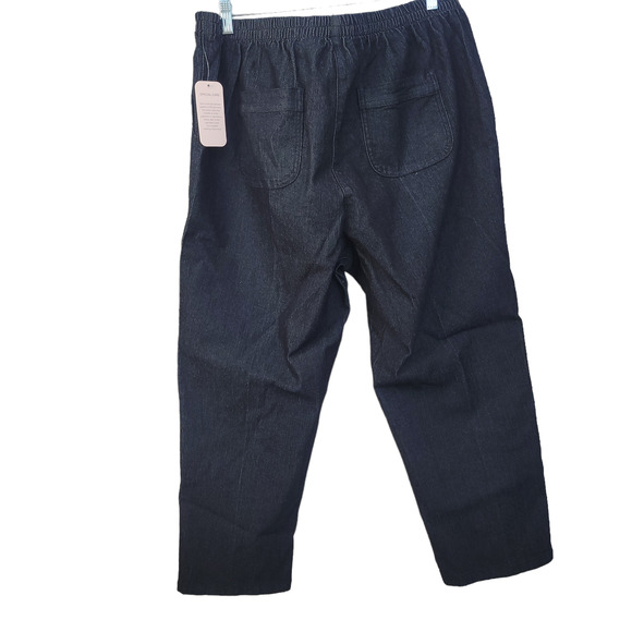 Allison Daley Plus Dark Wash Elastic Waist Pull On Jeans 16WS- Petite - Picture 2 of 4